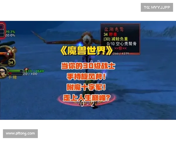 魔兽世界武器附魔指南：释放力量，提升战力